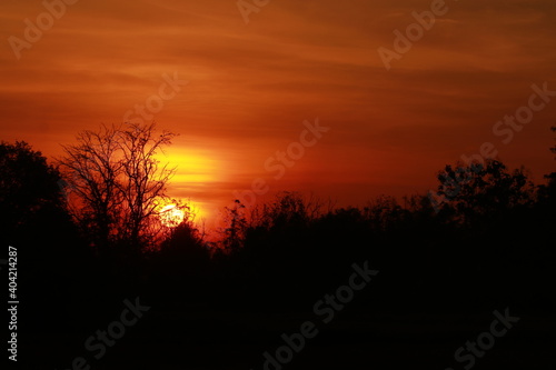 Beautiful light and silhouette in the morning