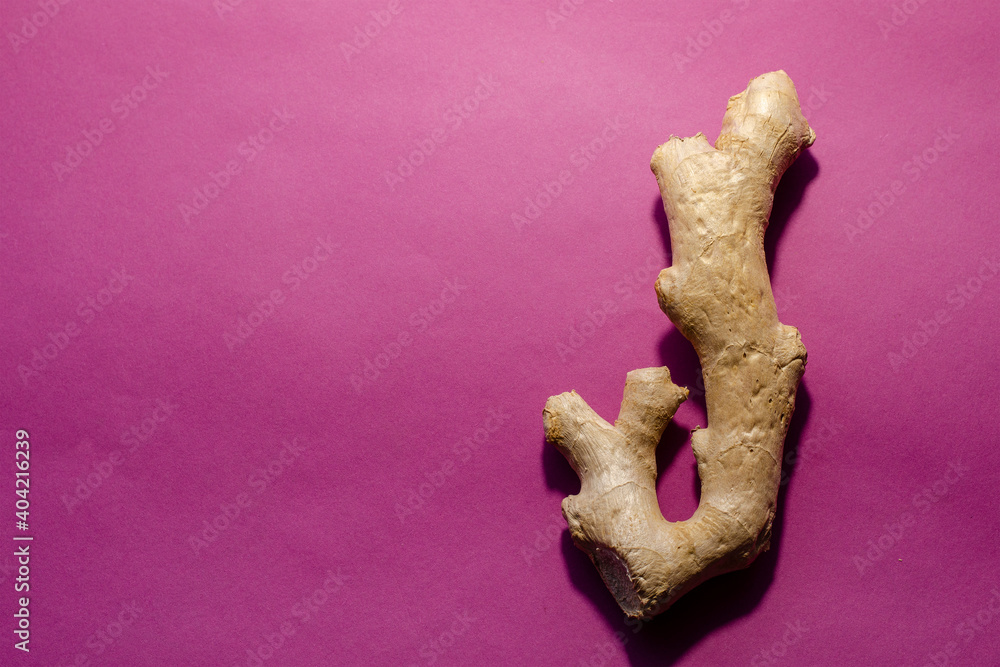 Fototapeta premium Alternative and folk medicine concept. Ginger root