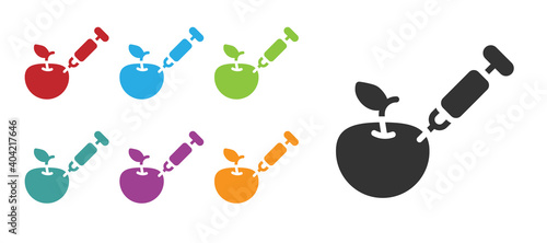 Black Genetically modified apple icon isolated on white background. GMO fruit. Syringe being injected to apple. Set icons colorful. Vector.