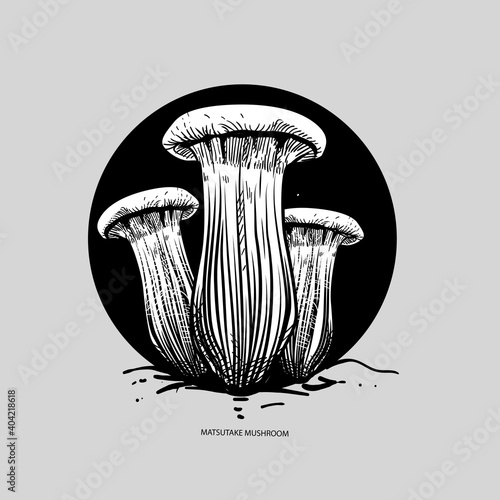 Matsutake Mushroom Illustration Premium Vector