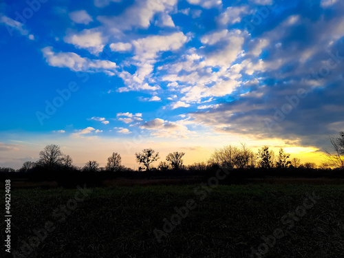 Sunset and dusk  in a rural landscape with trees  and dark blue moody sky