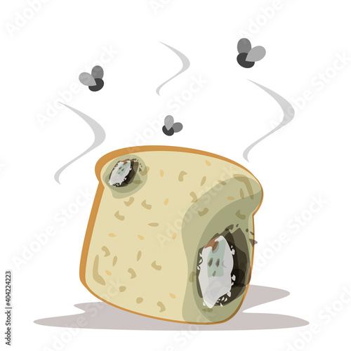 Fresh bread becomes rotten and bad vector isolated. Slice of a bread with mold on it. Food garbage, snak for breakfast. Flies flying around the product.