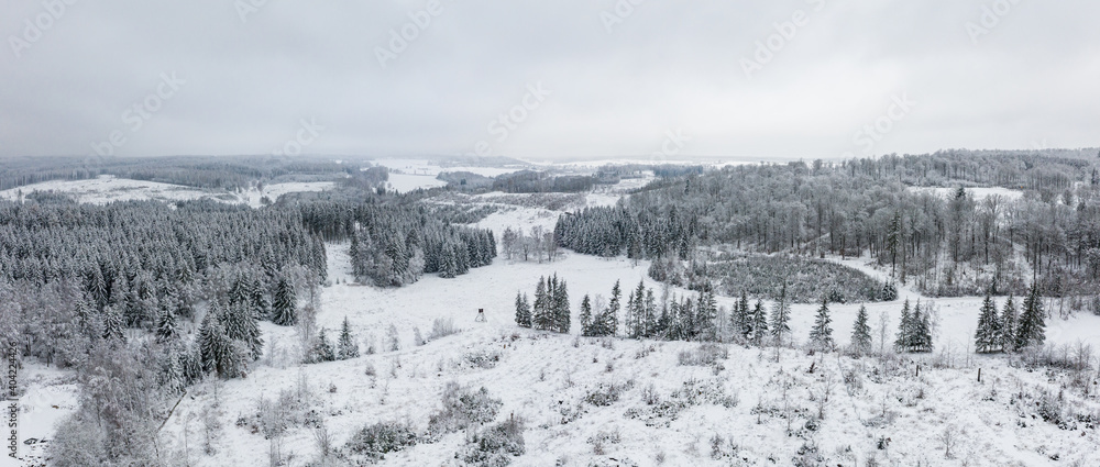 Blick über verschneite Harzer Wälder