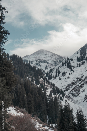 snow covered mountains