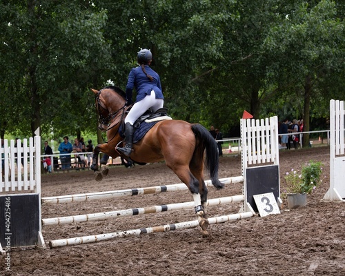 Horse jumping through an obstacle.