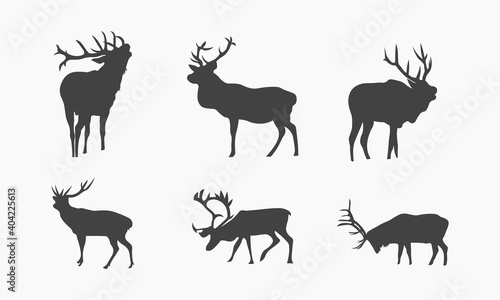 Fototapeta Naklejka Na Ścianę i Meble -  Vector illustration of Animal Deer Silhouettes collection