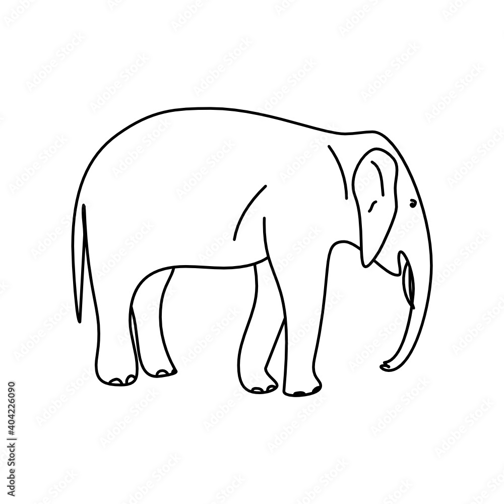 Simple Line Drawing of a Elephant Vector Isolated in White Simple Line Drawing of a Elephant Vector Isolated in White