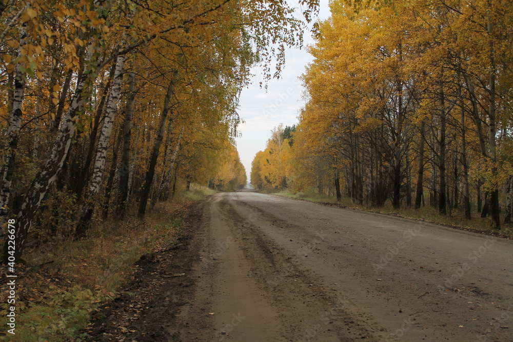 road in autumn