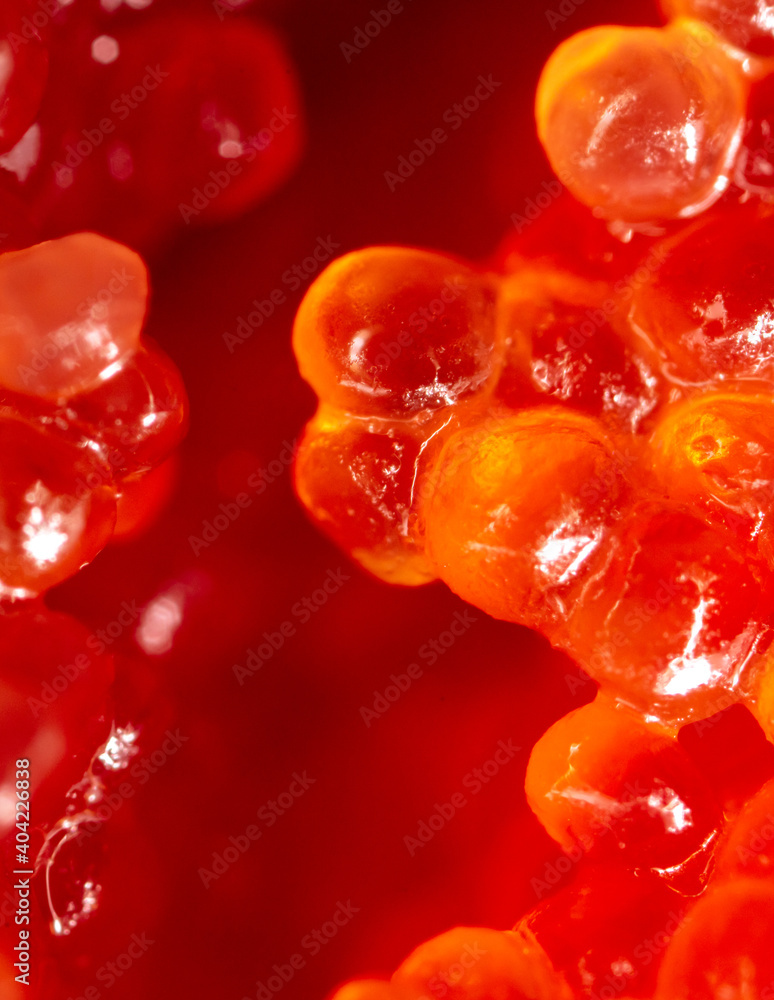 Red caviar from fish as background. Red caviar from fish as background.