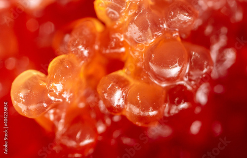 Red caviar from fish as background.