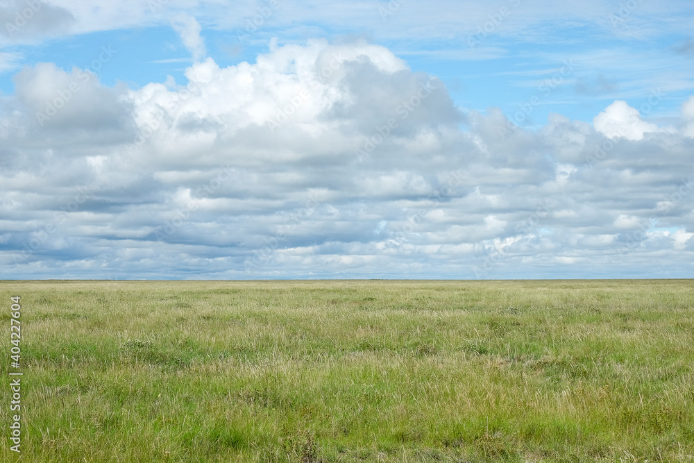 African grass green savanna with cloud covered sky, etosha park, namibia