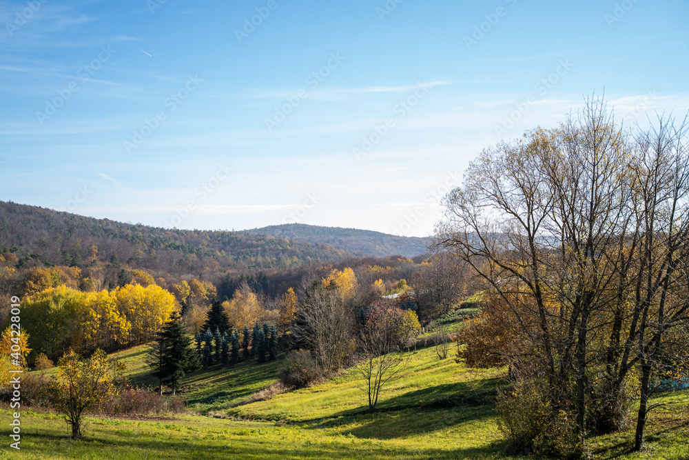 Beautiful late autumn landscape with trees