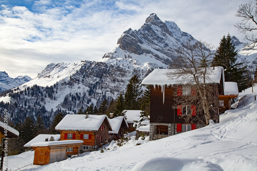 Winter in the alps