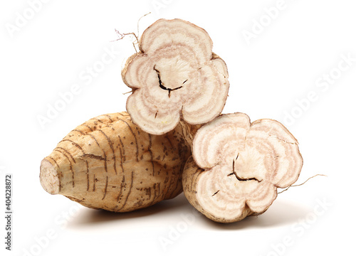 Fotografie Root of kudzu vine,puerarin Isolated on a white background
