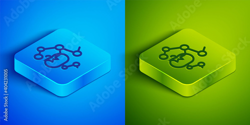 Isometric line Genetically modified food icon isolated on blue and green background. GMO fruit. Square button. Vector.