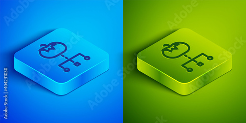 Isometric line Genetically modified food icon isolated on blue and green background. GMO fruit. Square button. Vector.