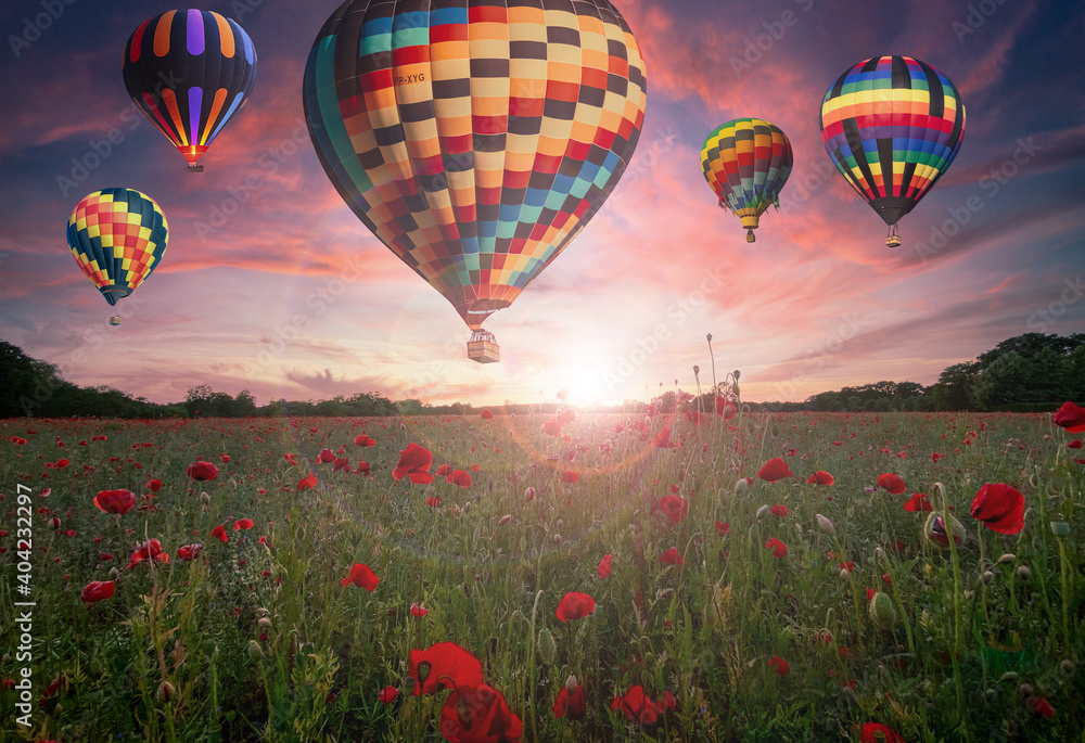 Fototapeta premium hot air balloon