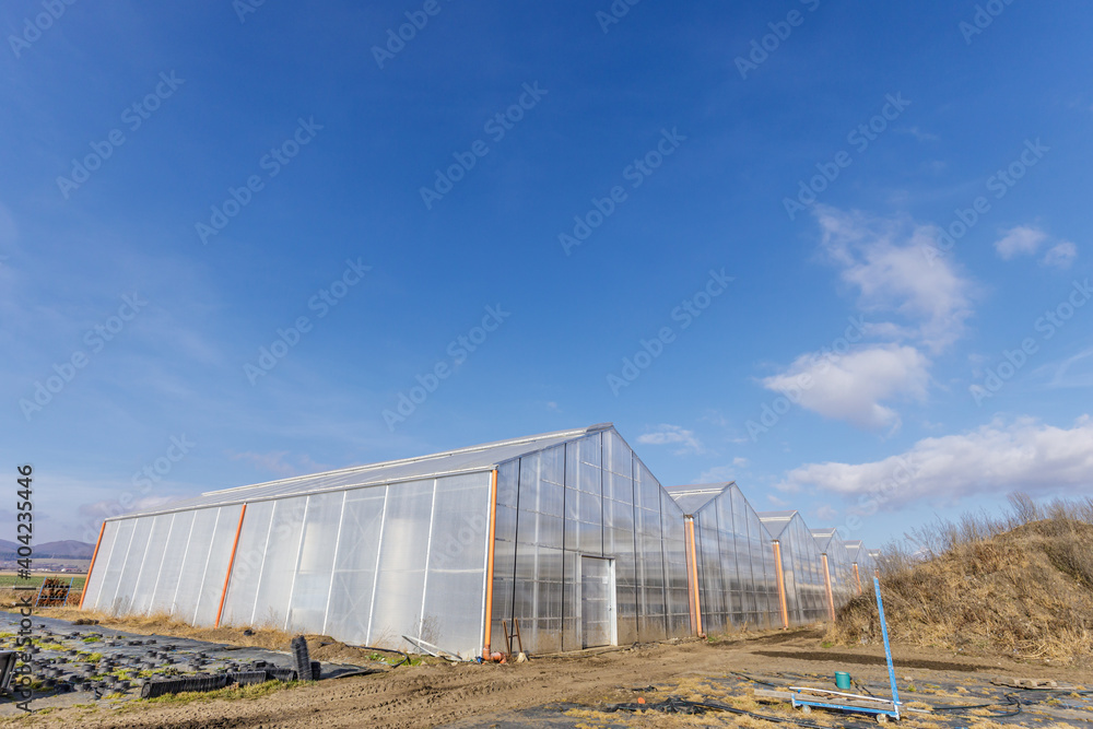 Horticulture concept with greenhouse. Blue cloudy sky background Horticulture concept with greenhouse. Blue cloudy sky background