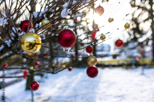 Christbaumkugeln Kugeln hängen am Baum im Garten mit Sonne Gegenlicht photo