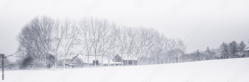 Bauernhof oder Gehört in einer Winterlandschaft mit Schnee und Nebel Bauernhof oder Gehört in einer Winterlandschaft mit Schnee und Nebel