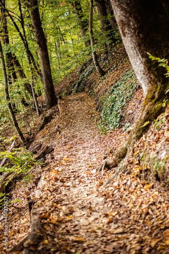 A narrow wooden footpath with an anti-slippery surface in the forest on a hill. Great trail with fresh air and great scenery. The concept of active rest in the fresh air