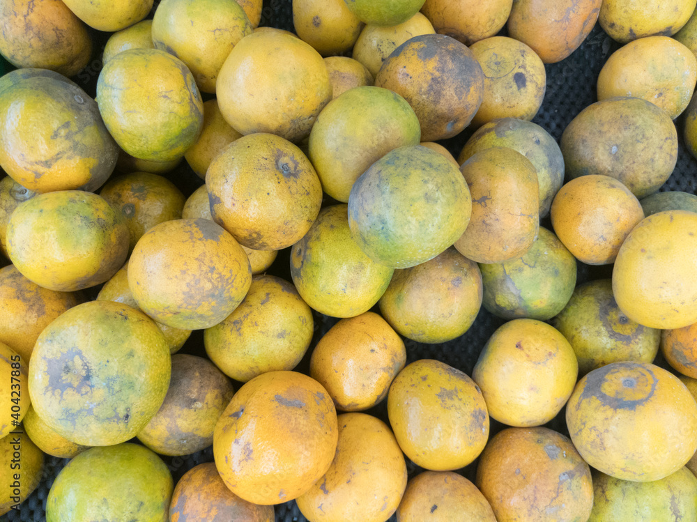 food, fruit, fresh, market, healthy, potato, yellow, vegetable, ripe, sweet, agriculture, delicious, natural, raw, potatoes, mango, organic, diet, nature, tropical, green, isolated, health, ingredient food, fruit, fresh, market, healthy, potato, yellow, vegetable, ripe, sweet, agriculture, delicious, natural, raw, potatoes, mango, organic, diet, nature, tropical, green, isolated, health, ingredient