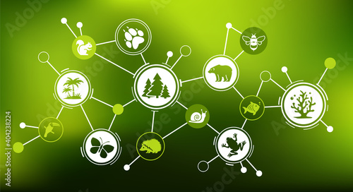 wildlife / biodiversity vector illustration. Concept with icons related to endangered species, animals, ecosystem protection, biology and fauna, conservation vs. extinction, sustainability.