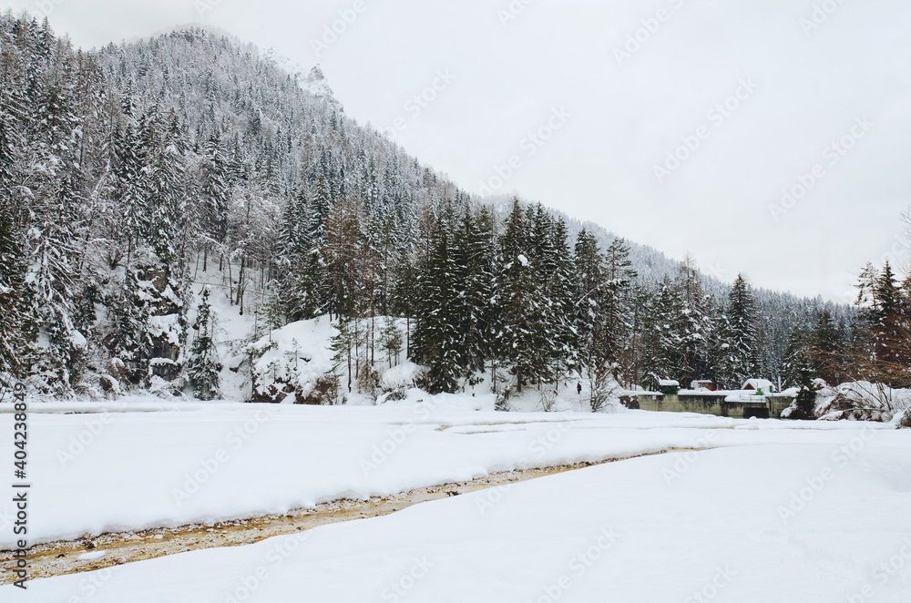 Fototapeta premium Scenic view of winter landscape with snow covered trees and mountain river in Alps, Slovenia. Beauty of nature concept background.