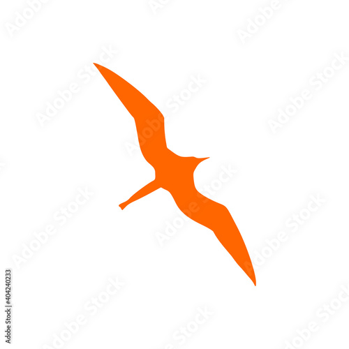 Fregattvogel und Hintergrund
