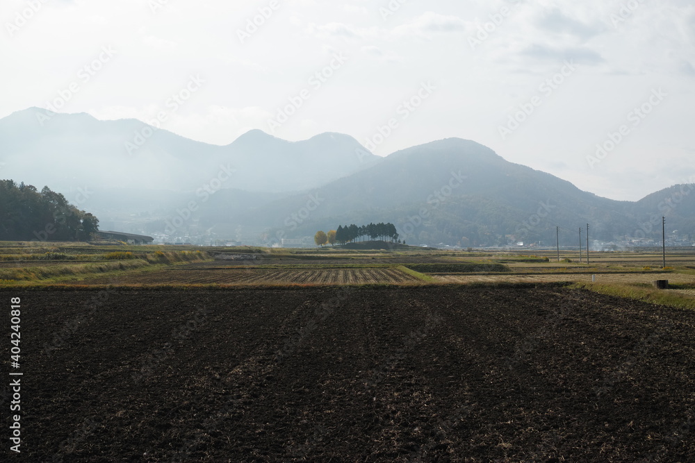 日本の秋の田園風景 日本の秋の田園風景