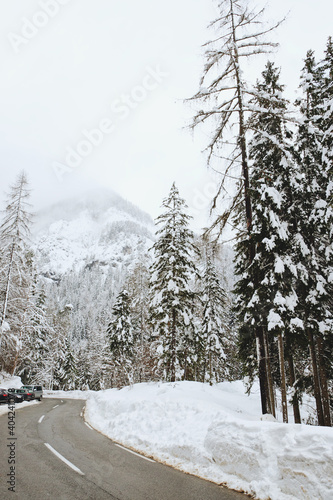 Scenic view of winter landscape with snow covered trees in Alps, Slovenia. Beauty of nature concept background.
