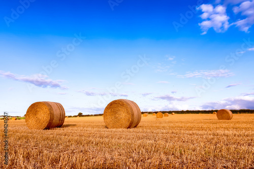 Hay Bales