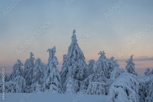 Wallpaper Mural winter mountain landscape Torontodigital.ca