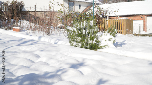 Snow covered garden on a sunny winter day near Neuhof, Germany. © Christopher