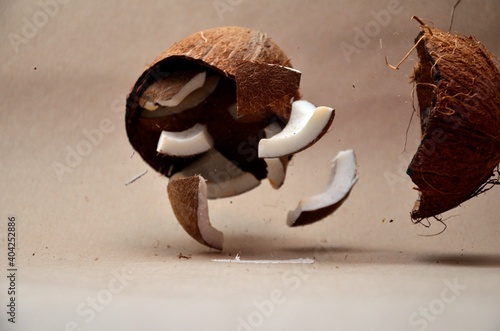 kokos © Piotr Łaskawski