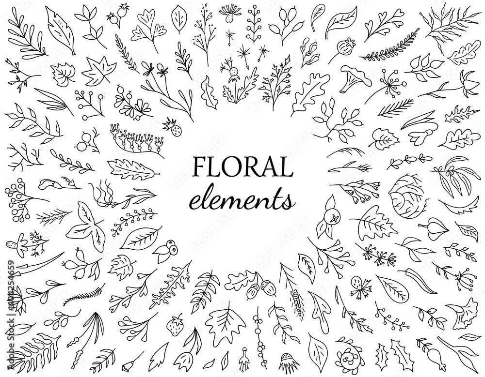 Fototapeta premium Set of hand drawn flower elements. Vintage floral collectoin. Branches, leaves, herbs, foliage and other botanical elements. Perfect for create greeting cards, invitations, , quotes, Wedding Frames an