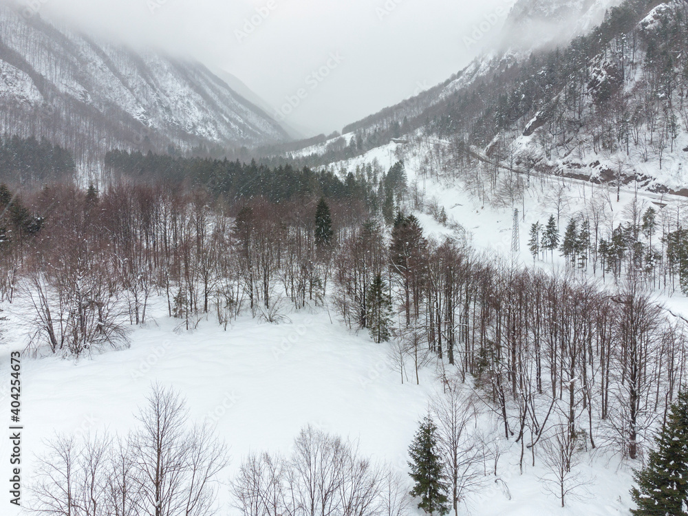 During the snowfall. Bird's-eye view of the forest and snow-capped mountains.