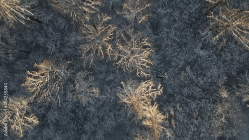Winterlandschaft im Mittelgebirge Drohnenüberflug