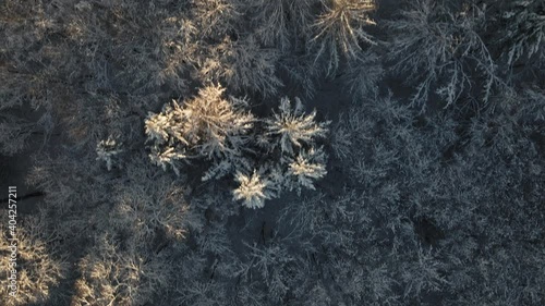 Winterlandschaft im Mittelgebirge Drohnenüberflug