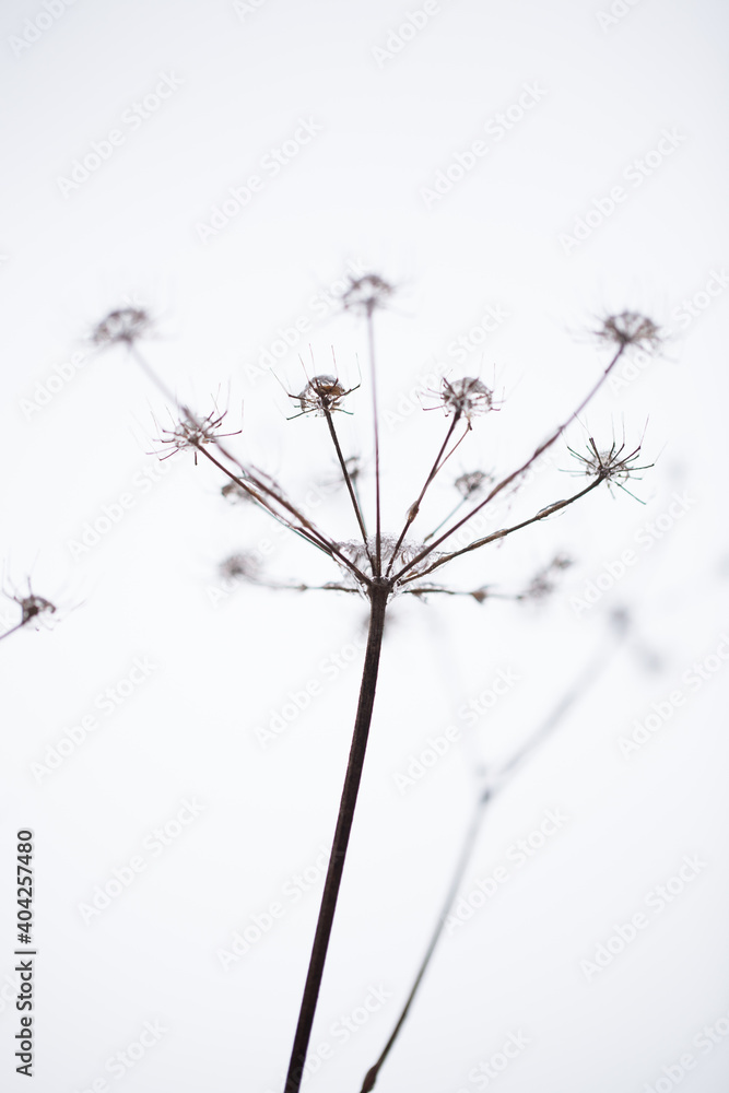 Stylish and beautiful nature photography
Stylish and beautiful nature photography