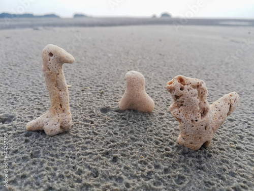 Corals in a shape of dinosaurs on the sand