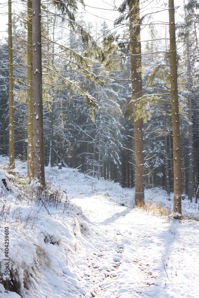 Waldweg