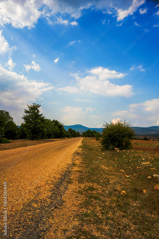 Naklejka premium Colorful beautiful view of the cloudy sky on the rural. Vertical landscape shot. High quality image.