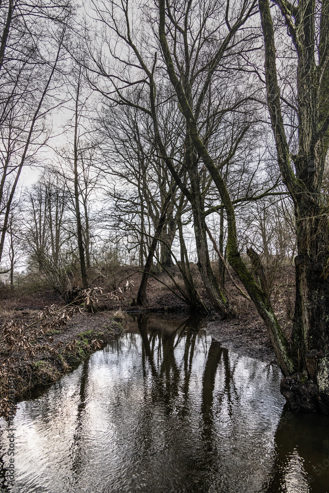 Trittau - Winter sadness - beck Mühlenbach Trittau - Winter sadness - beck Mühlenbach