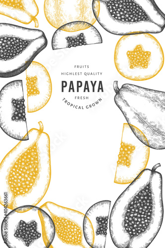 Hand drawn sketch style papaya banner. Organic fresh fruit vector illustration. Retro fruit design template