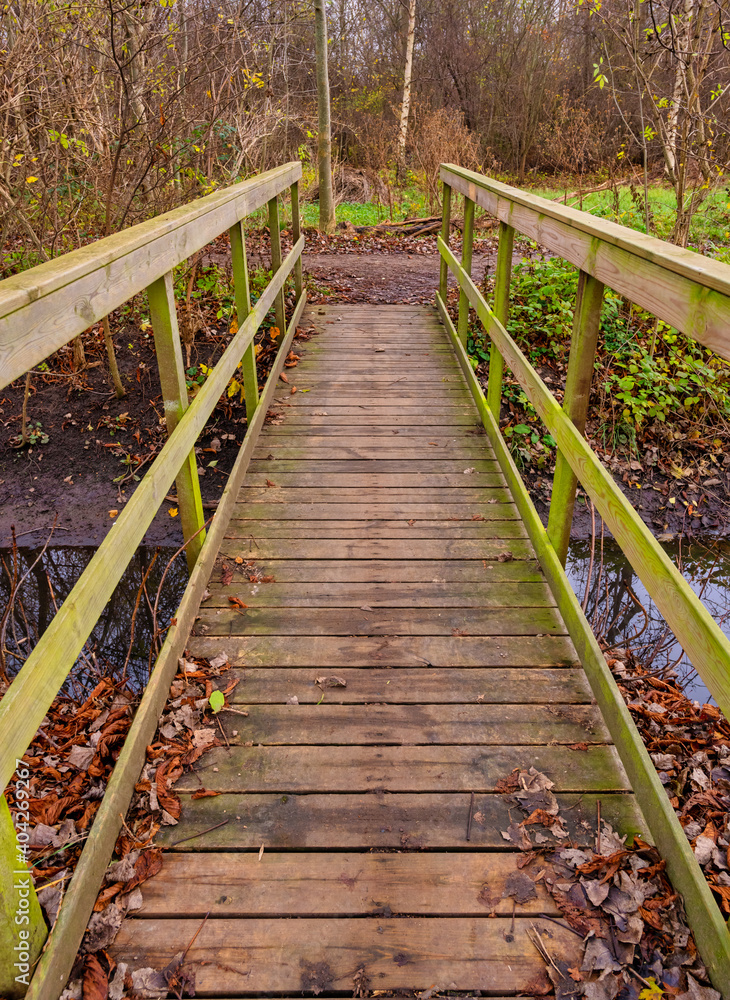A wooden bridge in a nature reserve. Photo from Lomma Beach, Scania county, Sweden