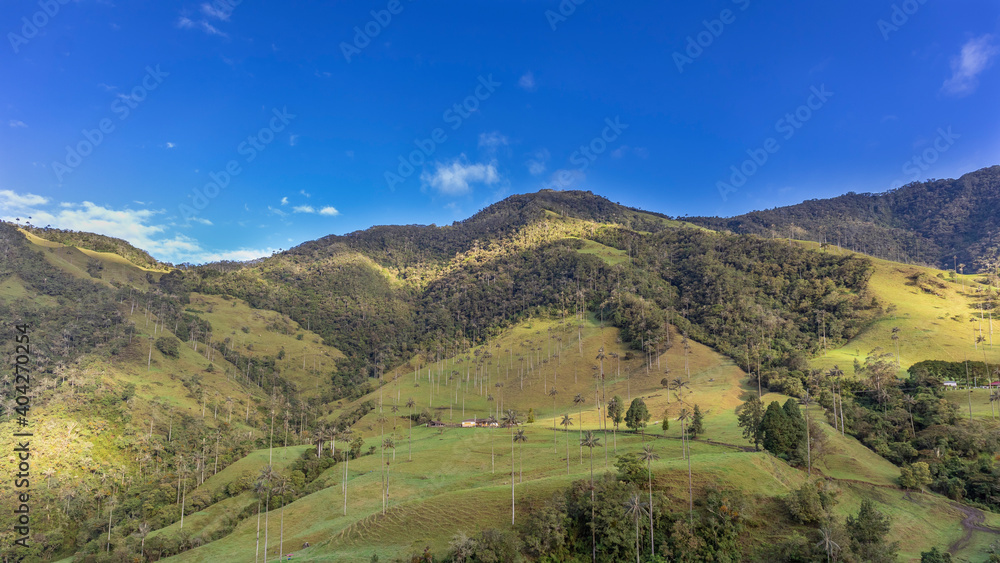 Landscape in Cocora national park in Salento Quindío Colombia. The Colombian Andes.