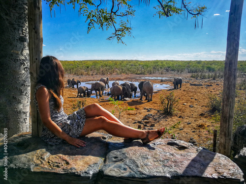 Woman looking at the elephants