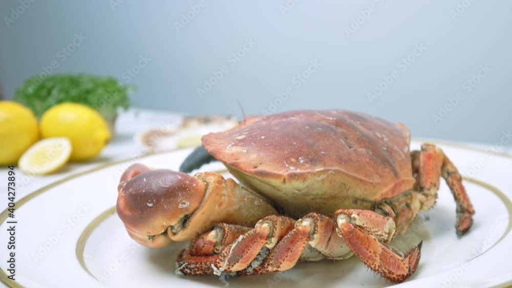 Close-up of a whole big boiled crab in a serving plate on the table. Concept of cooking and eating a crab in 4K. Close-up of a whole big boiled crab in a serving plate on the table. Concept of cooking and eating a crab in 4K.