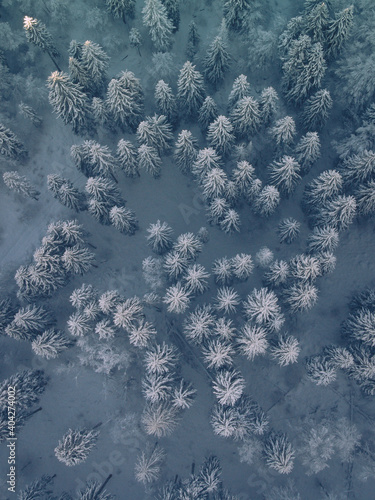  Winter panorama with white snow in Dolomites mountain unesco, Italy © Davide De Blasi